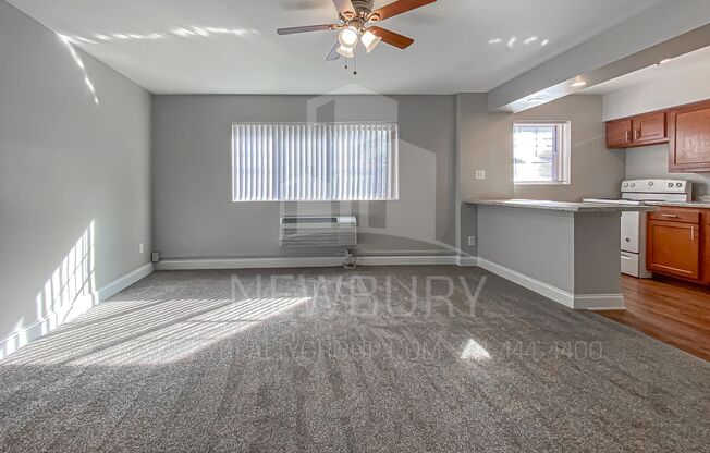 1 bed, 1 bath, 520 sqft, $725, Unit 313-02