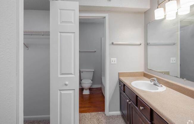 a bathroom with a sink and a toilet