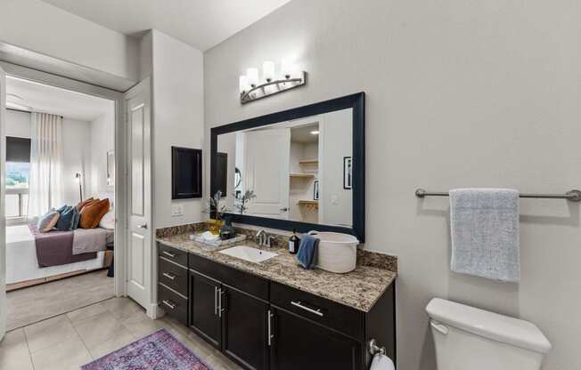 a bathroom with a large mirror and a sink