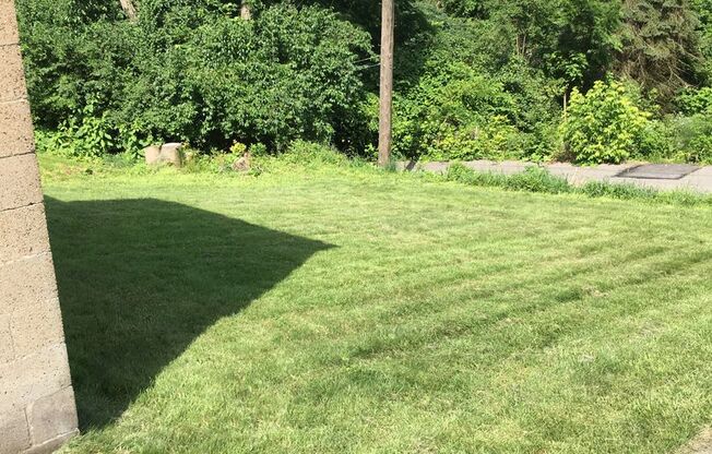 Secret room with 3 bedroom 1 bath deck and yard