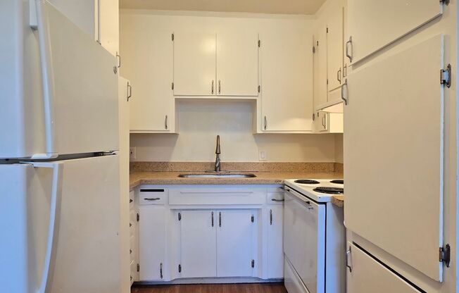Spacious Downstairs Apartment, Fresh Paint, Quartz Counters, Stainless Steel Appliances, Pool, Parking!
