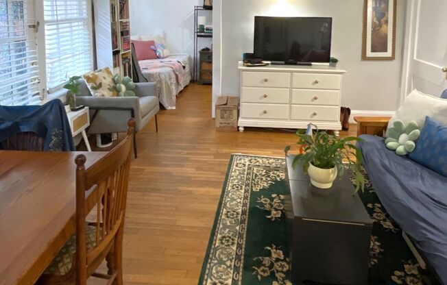 Studio, 1 bath, 500 sqft, $1,295, Unit 873-2