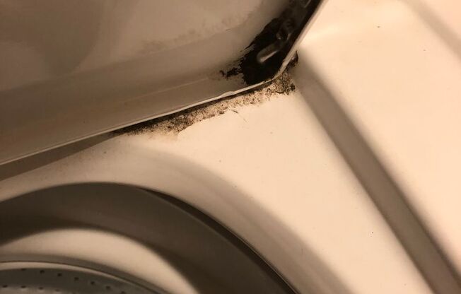 3 beds, 1.5 baths, 1,480 sqft, $1,575, Unit WC-1