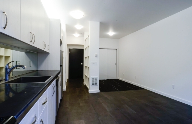 Studio, 1 bath, 388 sqft, $1,225, Unit 204