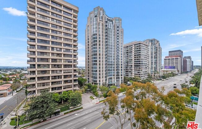 2 beds, 2 baths, 1,019 sqft, $3,900, Unit 1002