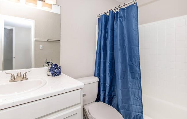 1 bed, 1 bath, 550 sqft, $900
