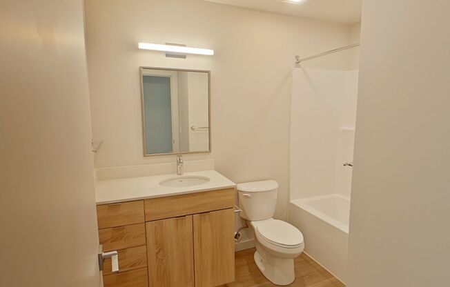 Studio, 1 bath, 314 sqft, $1,250, Unit 211