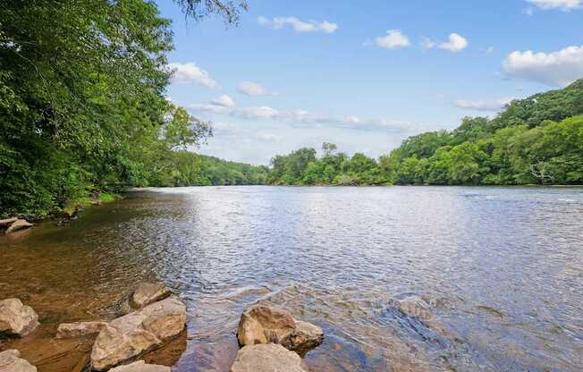 A river flows through a forested area with rocks in the foreground.
