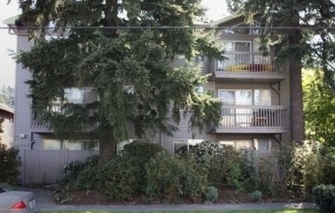 Hidden Gem in Northeast Seattle