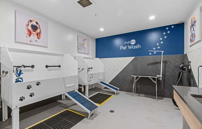 A pet wash station with a blue wall and a white dog picture on the wall.