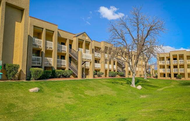 an apartment building with a green lawn and a tree