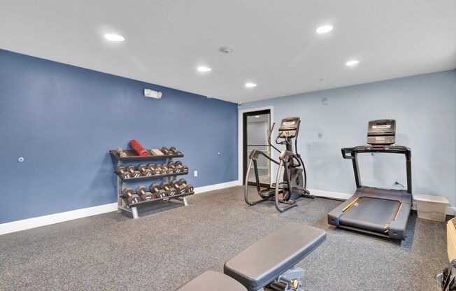 Studio, 1 bath, $1,185, Unit 330