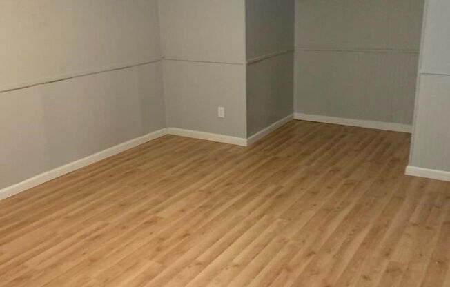 1 bed, 1 bath, $700, Unit Apt LL2