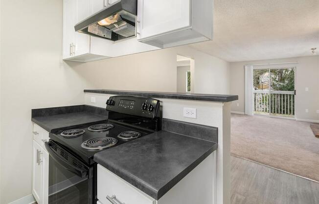 Kitchen & Living Area