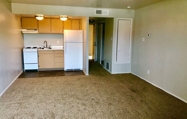 Studio, 1 bath, 445 sqft, $794, Unit 316