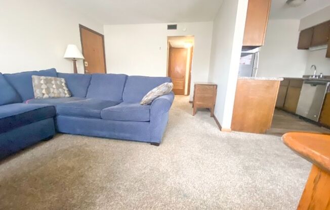 2 beds, 1 bath, $700, Unit 520 Osage Unit 9