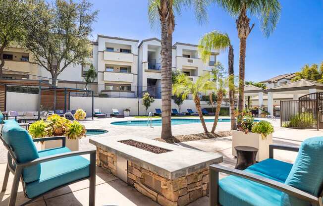 A sunny day at a poolside with chairs and a palm tree.