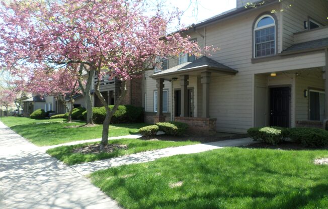 A tree with pink blossoms is in front of a house.
