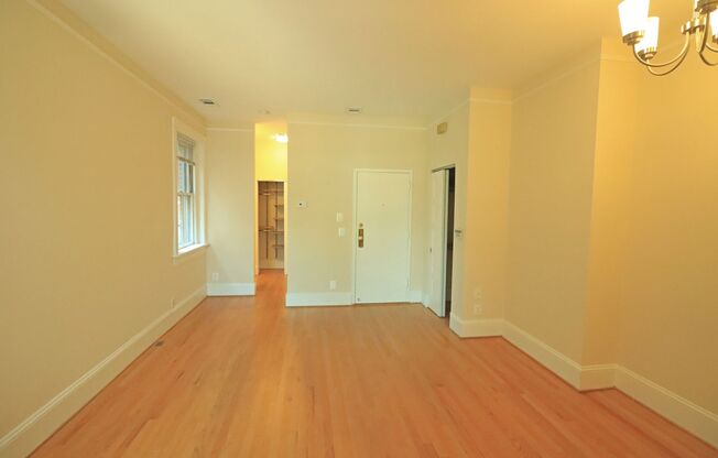 Studio, 1 bath, $2,095, Unit A202