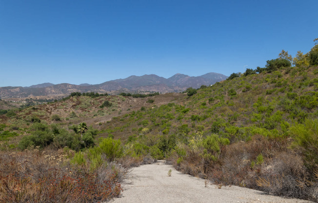 Take in the scenery at Borrego Canyon Overlook Park