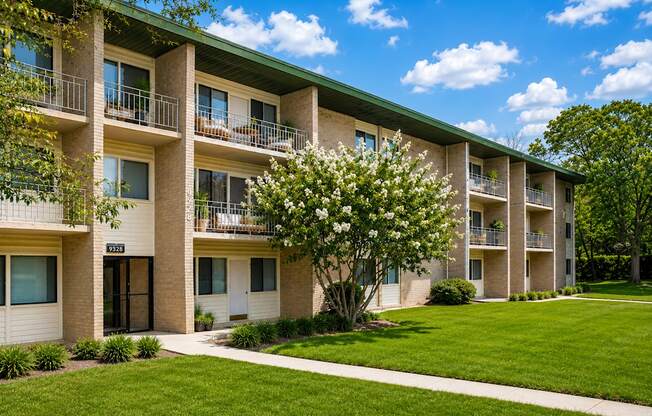 A tree with white flowers is in front of apartment building.