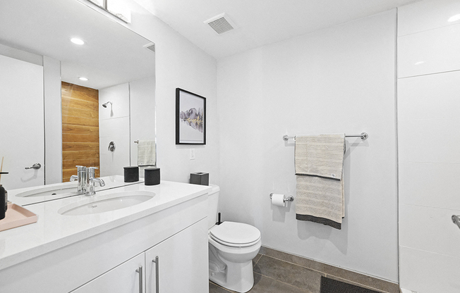 Gorgeous modern bathroom with white sink and vanity and vinyl hardwood floors
