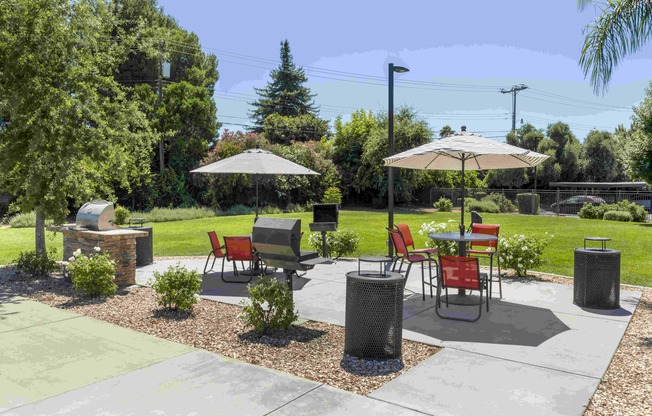 Outdoor Picnic Tables and Grills