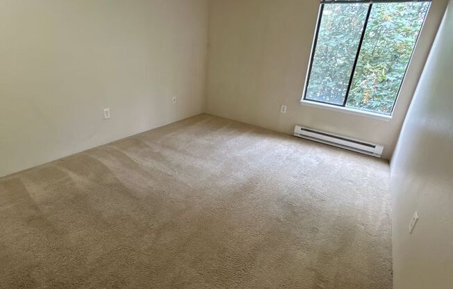 Cresswell Apartments