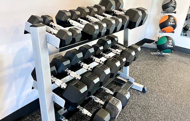 a row of weights on a rack in a gym