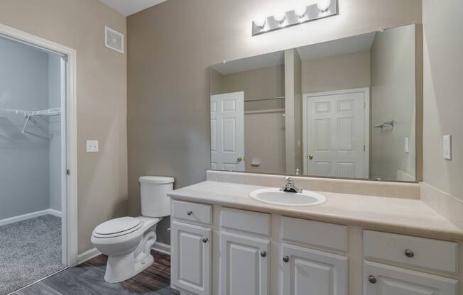 Large Bathroom Vanity