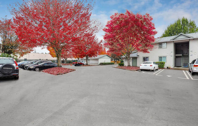 Towncenter Exterior - ample parking spaces