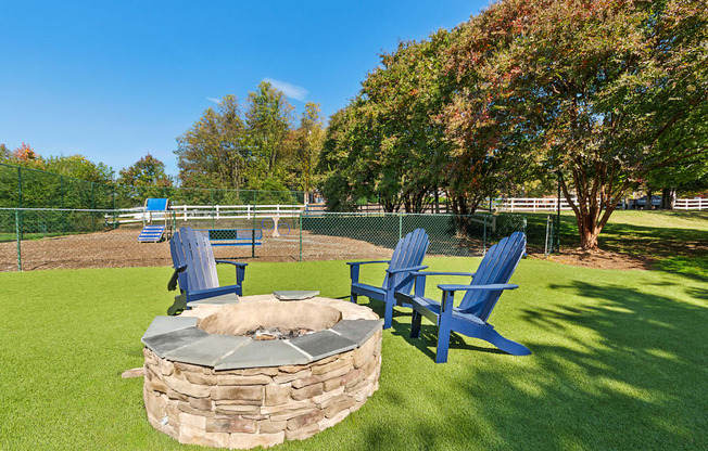 the preserve at ballantyne commons dog park with fire pit and chairs