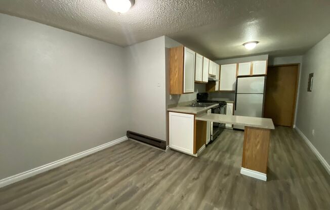 1 bed, 1 bath, 442 sqft, $1,415, Unit B101