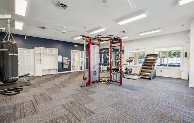 A gym with a punching bag, weights, and a pull up bar.