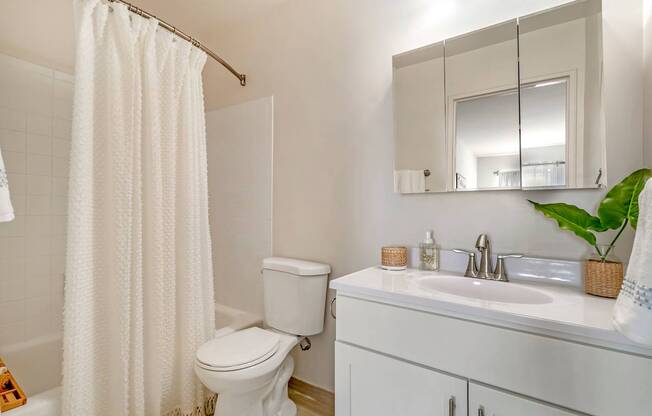 a bathroom with a sink toilet and a shower curtain