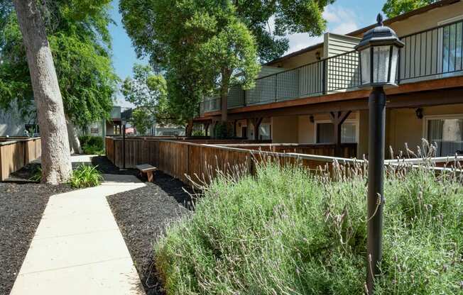 View of sidewalk winding between private patio/balcony with blooming landscaping and trees shading the sidewalk