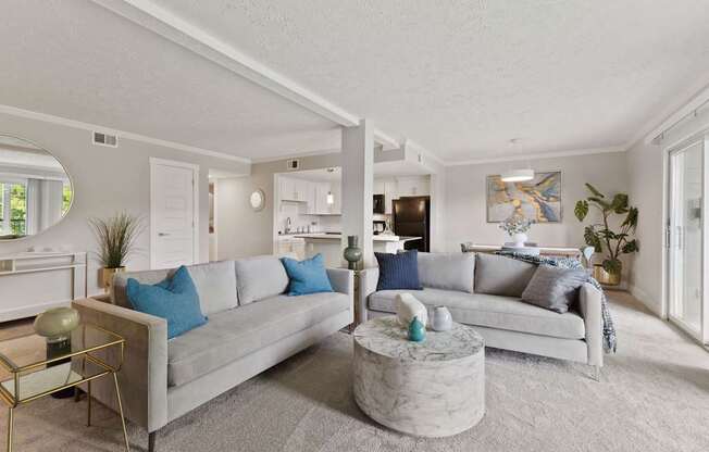 Large Open Concept Living