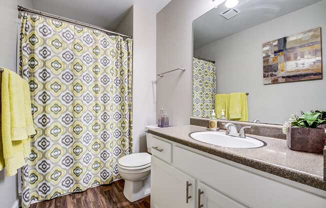 Bathroom with shower and vanity