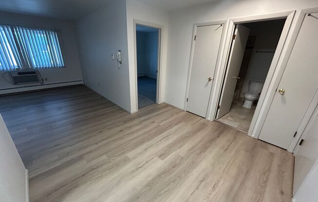 1 bed, 1 bath, $995, Unit 313