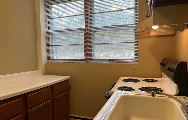 1 bed, 1 bath, 356 sqft, $915, Unit 8