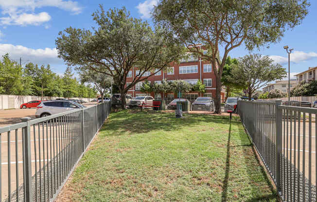 A park with a fence and a tree in the middle.