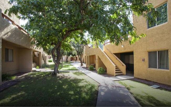 A tree in front of a building with a pathway leading to a staircase.
