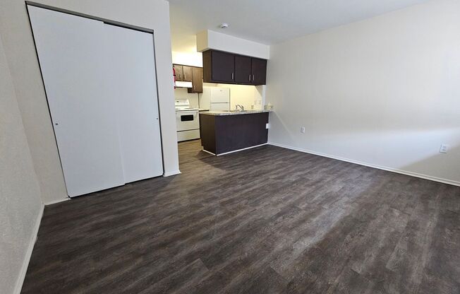 Remodeled One Bedrooms with $99 Deposit!!
