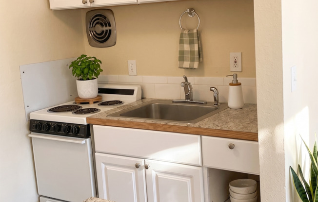 1 bed, 1 bath, 500 sqft, $1,375, Unit 1