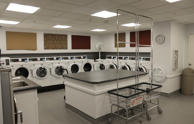 1 bed, 1 bath, 930 sqft, $3,300, Unit 514