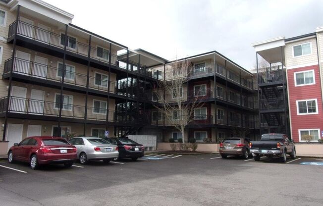 1 bed, 1 bath, 566 sqft, $1,277, Unit 137-316