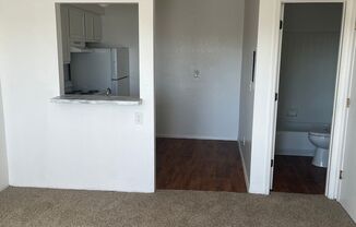 Studio, 1 bath, 317 sqft, $749, Unit 112