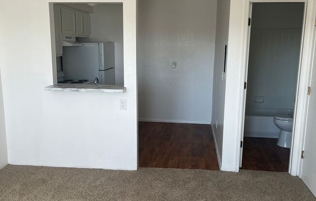 Studio, 1 bath, 317 sqft, $749, Unit 112