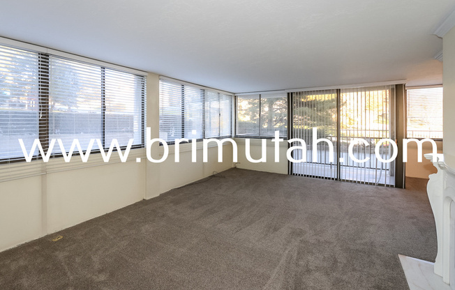 241 N VINE ST