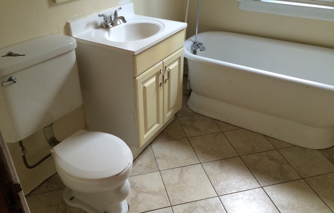 (6923) Cristian Luput